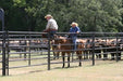 Livestock Panels - Priefert Rough Stock Arena Panels - Priefert