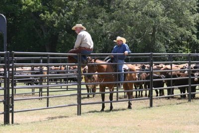 Livestock Panels - Priefert Rough Stock Arena Panels - Priefert