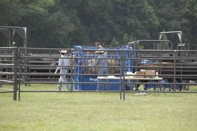 Livestock Panels - Priefert Rough Stock Arena Panels - Priefert