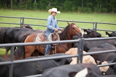 Livestock Panels - Priefert Rough Stock Arena Panels - Priefert
