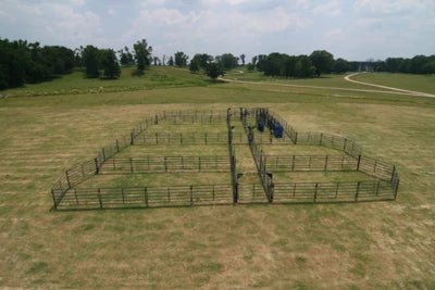 Open Corral Systems - Priefert Rough Stock Open Corral - 250 Head w/Calf Table - Priefert