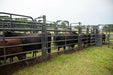 Livestock Panels - Priefert Rough Stock Panels - Priefert
