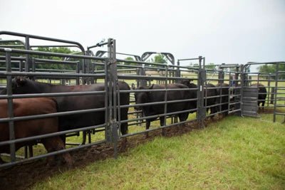 Livestock Panels - Priefert Rough Stock Panels - Priefert
