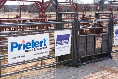 Livestock Panels - Priefert Rough Stock Sheeted Panels - Priefert