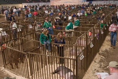 Livestock Gates - Priefert Sheep, Hog, & Goat Bow Gates - Priefert
