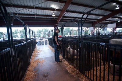 Livestock Panels - Priefert Sheep, Hog, & Goat Panels - Priefert