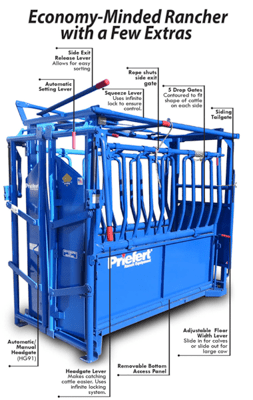 Cattle Chutes