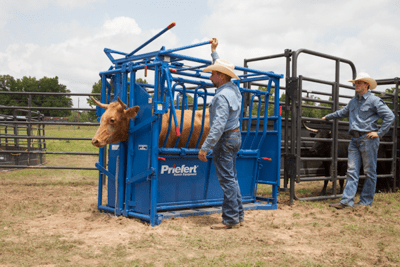 Cattle Chutes - Priefert Squeeze Chutes - Model S0191 - Priefert