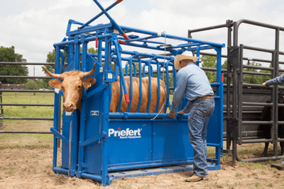 Cattle Chutes - Priefert Squeeze Chutes - Model S0191 - Priefert