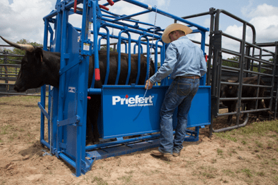 Cattle Chutes - Priefert Squeeze Chutes - Model S0191 - Priefert
