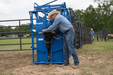 Cattle Chutes - Priefert Squeeze Chutes - Model S0191 - Priefert