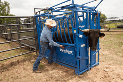Cattle Chutes - Priefert Squeeze Chutes - Model S0191 - Priefert