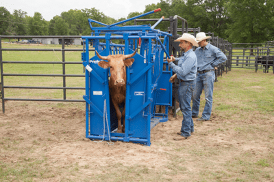 Cattle Chutes - Priefert Squeeze Chutes - Model S0191 - Priefert