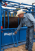 Cattle Chutes - Priefert Squeeze Chutes - Model S0191 - Priefert