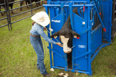 Cattle Chutes - Priefert Squeeze Chutes - Model S04 - Priefert