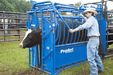 Cattle Chutes - Priefert Squeeze Chutes - Model S04 - Priefert
