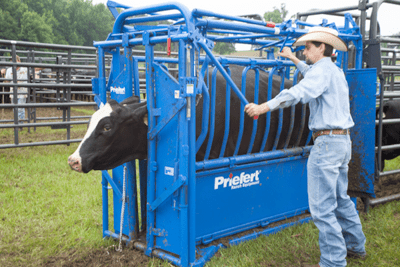 Cattle Chutes - Priefert Squeeze Chutes - Model S04 - Priefert