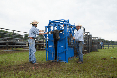Cattle Chutes - Priefert Squeeze Chutes - Model S04 - Priefert