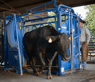 Cattle Chutes - Priefert Squeeze Chutes - Model S04 - Priefert