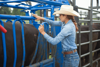 Cattle Chutes - Priefert Squeeze Chutes - Model S04 - Priefert