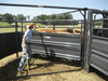 Crowding Sweeps - Priefert Sweep w/30' Adj. Alley & Preg Panels - Priefert