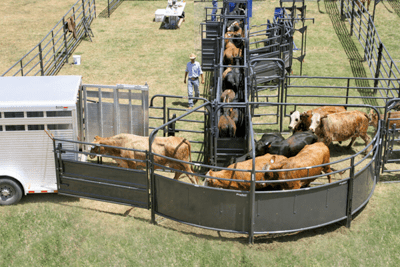 Crowding Sweeps - Priefert Sweep w/30' Adj. Alley, Preg Panels & Blocking Gate - Priefert