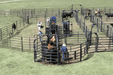 Crowding Sweeps - Priefert Sweep w/30' Adj. Alley, Sort Alley, Preg Panels, Block & Load Gates - Priefert