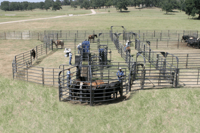 Crowding Sweeps - Priefert Sweep w/30' Adj. Alley, Sort Alley, Preg Panels, Block & Load Gates - Priefert