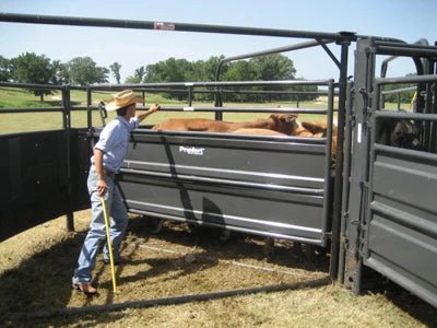 Crowding Sweeps - Priefert Sweep w/30' Adj. Alley, Sorting Alley, Preg Panels, Blocking Gates & 8' Sorting Gate - Priefert