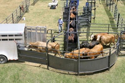 Crowding Sweeps - Priefert Sweep w/30' Adj. Alley, Sorting Alley, Preg Panels, Blocking Gates & 8' Sorting Gate - Priefert