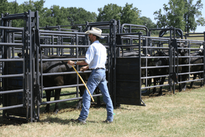 Crowding Sweeps - Priefert Sweep w/30' Adjustable Alley, Preg Panels, Block Gates & Load Gate - Priefert
