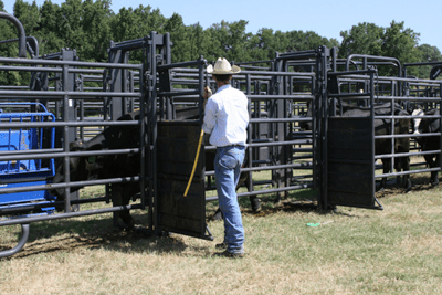 Crowding Sweeps - Priefert Sweep w/38' Adjustable Alley, Preg Panels, Block Gates & Scale Section - Priefert