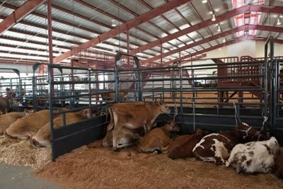 Stall Panels - Priefert Tie Stall Panels - Priefert