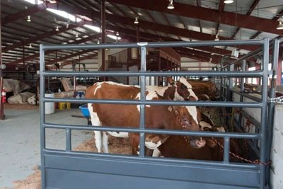 Stall Panels - Priefert Tie Stall Panels - Priefert