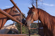 Livestock Panels - Priefert Utility Panels - Priefert