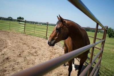 Livestock Panels - Priefert Utility Panels - Priefert