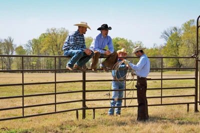 Livestock Panels - Priefert Utility Panels - Priefert