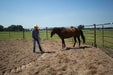 Livestock Panels - Priefert Utility Panels - Priefert