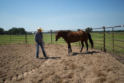 Livestock Panels - Priefert Utility Panels - Priefert
