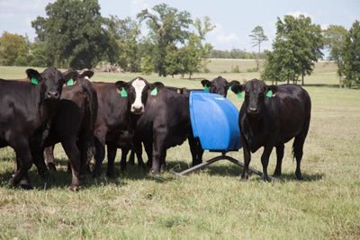 Cattle Equipment - Priefert Weather Vane Feeder - Priefert