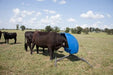 Cattle Equipment - Priefert Weather Vane Feeder - Priefert