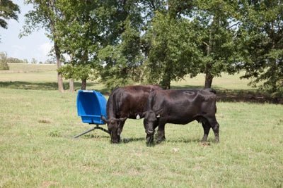 Cattle Equipment - Priefert Weather Vane Feeder - Priefert