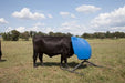 Cattle Equipment - Priefert Weather Vane Feeder - Priefert