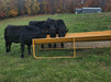 Bunk Feeders - Sioux Steel 10' Bunk Feeder - Sioux Steel