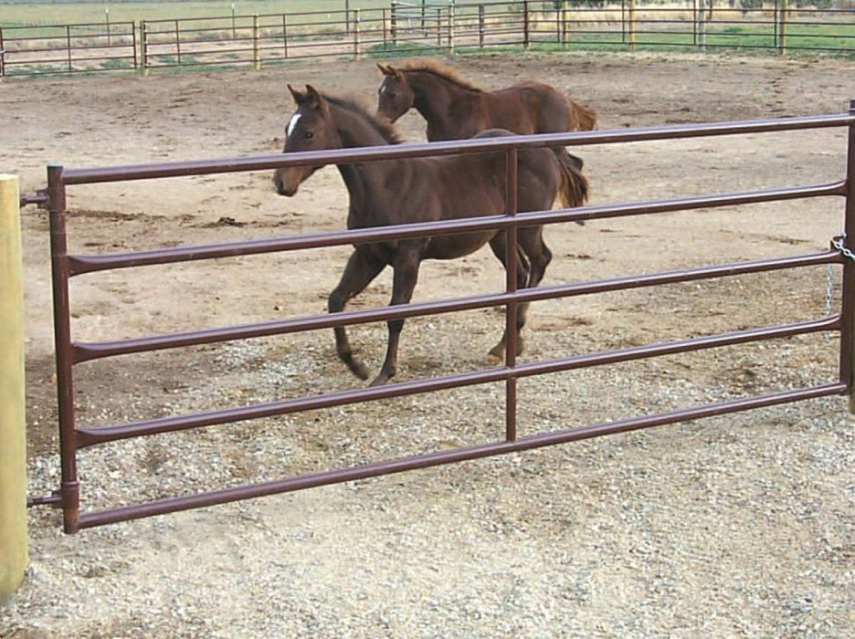 Livestock Gates - Sioux Steel 2.0″ Heavy Duty Gate (HiQual) - Sioux Steel