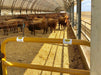 Livestock Gates - Sioux Steel 2.0" Victory Gate - Sioux Steel