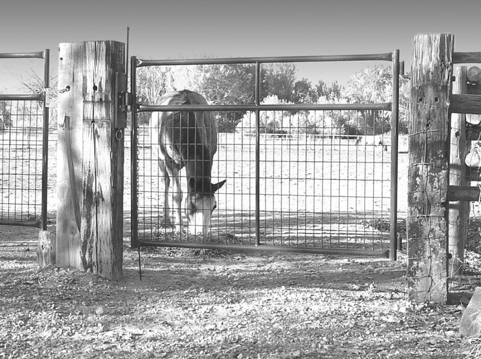 Livestock Panels - Sioux Steel Combo Gate with Mesh Panel - Sioux Steel
