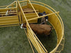 Crowding Tubs - Sioux Steel Cornerless Crowding Tub - Sioux Steel
