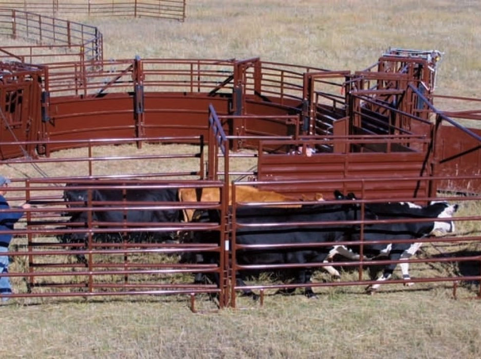 Alleys - Sioux Steel Crowding Alleys - Sioux Steel