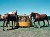 Ring Feeders - Sioux Steel Horse Hay Feeder - Sioux Steel